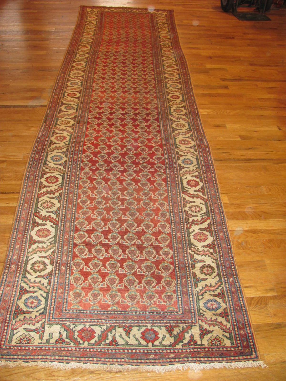 Persian Malayer Rug | Antique | Circa 1910