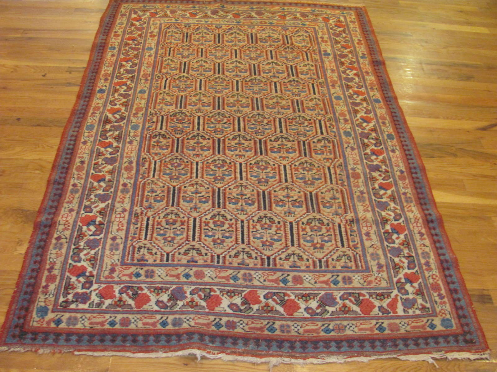 Serab Rug | Persia | Antique |Hand Knotted | Circa 1910