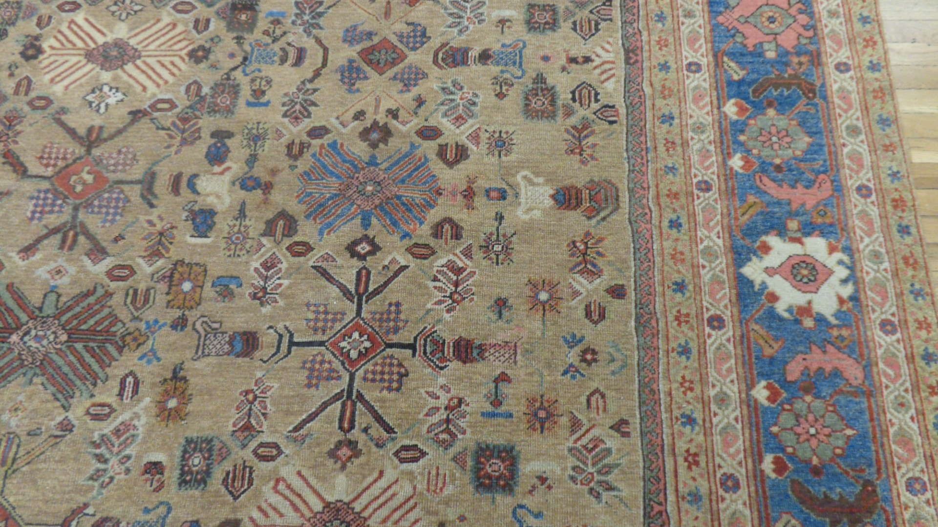 24751 antique persian mahal rug 10.9x18.11-2