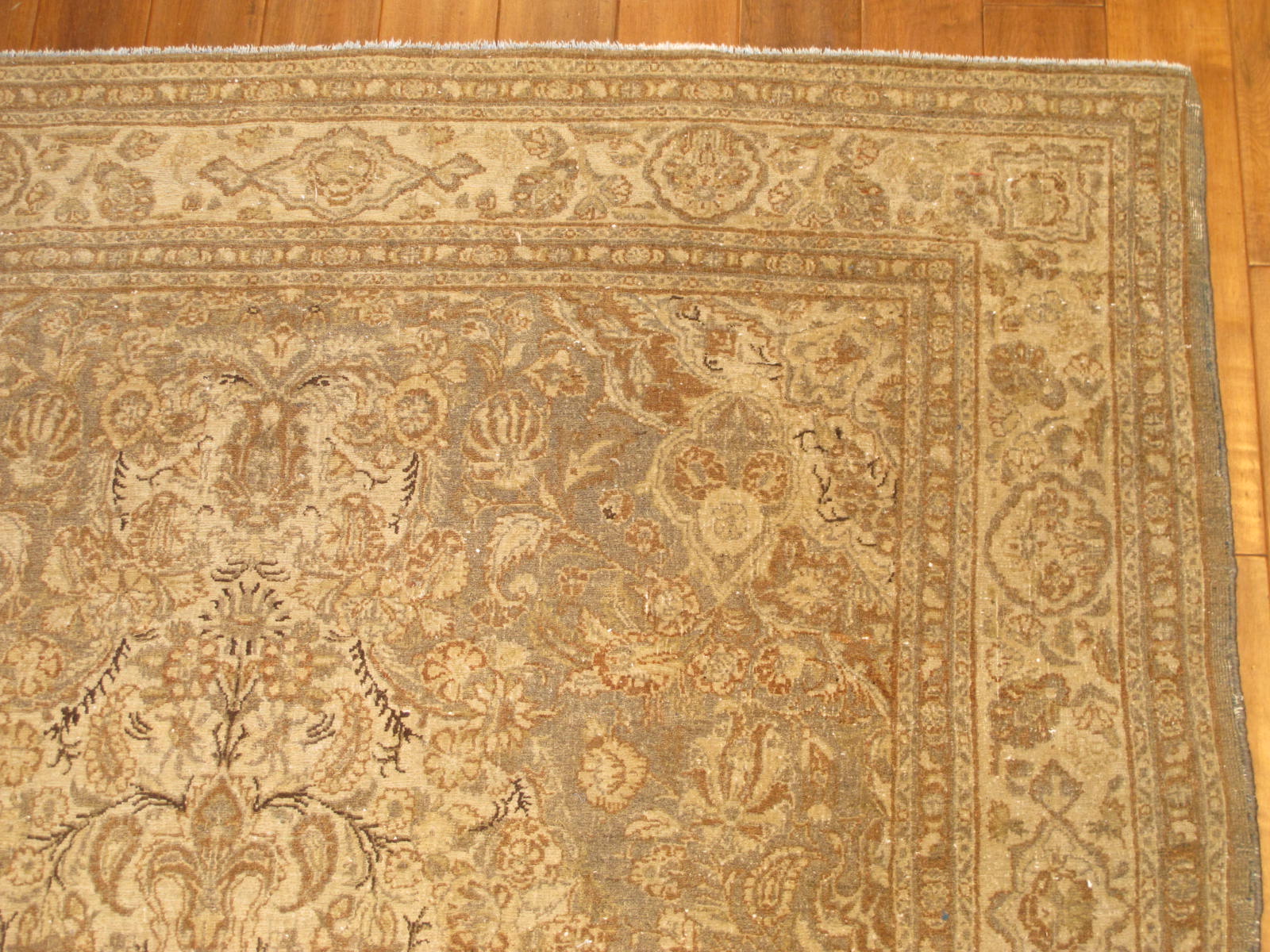 12726 persian sarouk rug 6x8,10 (3)