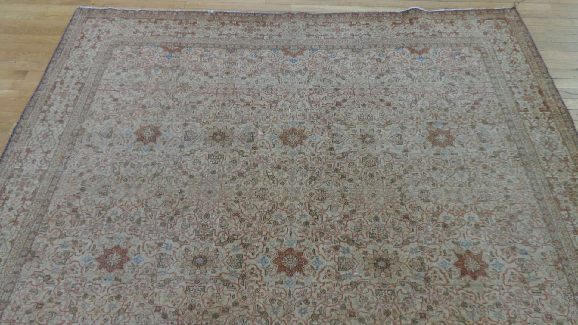 24850 persian tehran carpet 7 x 9, 10-1