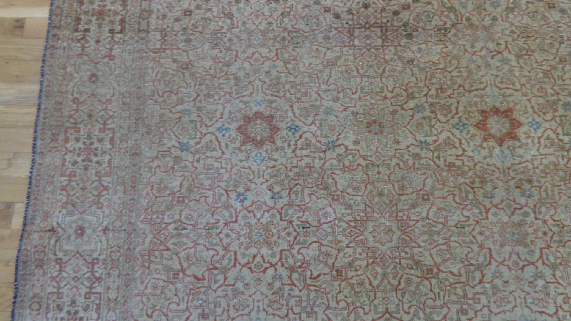 24850 persian tehran carpet 7 x 9, 10-2